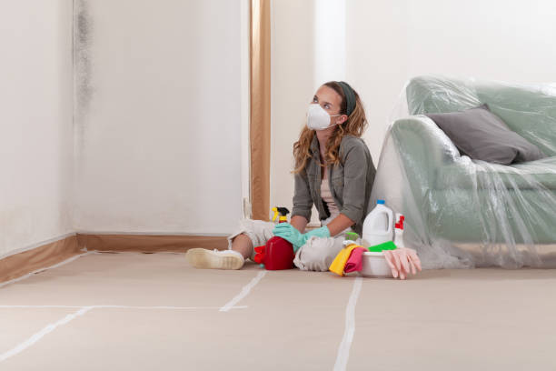 Reliable Mold Testing contractor in Surprise, AZ by WQB Mold Removal